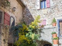 Régusse (Var)  Ravissante courette