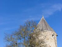 Régusse (Var)  Ce moulin sans sa voilure, abrite un écomusée agricole