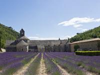 abbaye-senanque-003-2  Vue générale de l'abbaye (Nord et Est)