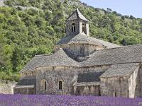 abbaye-senanque-005-2  Abbaye de Sénanque