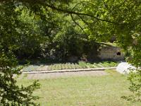 abbaye-senanque-015-2  Abbaye de Sénanque - Le jardin potager