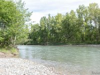 Sisteron 13/05/26  Rive droite de la Durance ...