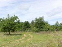 Sisteron 13/05/26  Chemin ...