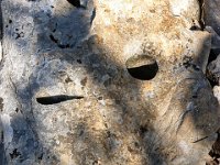 Sisteron - Le Collet mars 2026  Une pierre très expressive ! ...