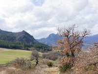 Sisteron - Le Collet mars 2026  Autre vue sur le sentier ...