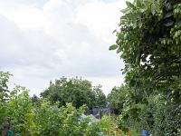Saint Vincent les Forts (Ht Alpes)  Un jardin de rêve ! ...