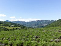 Au Sud de Valbelle  Vue vers le Nord et la vallée du Jabron. On aperçois au loin à droite la montagne de l'ubac et le rocher de Pierre Impie ...