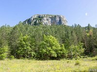 Au Sud de Valbelle  Lisière de la forêt. Je la traverserai tout à l'heure plein Est pour rejoindre le GR6 ...