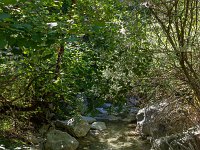 Au Sud de Valbelle  Le torrent qui coule dans le ravin ...