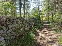 Au Sud de Valbelle  Me voici sur le GR6. C'est ici un très ancien chemin jadis carrossable, bordé de murs de pierres sur environ 600m ...