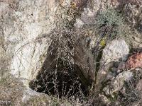 Lazer - Vestiges du site de la Plâtrière  Silo carré creusé dans le sol. Ces silos permettaient de cacher le grain. Il étaient fermés d'une dalle de pierre. Plusieurs d'entre eux ont été trouvés et étudiés par les archéologues lors des fouilles ...