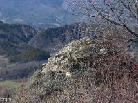 Lazer - Vestiges du site de la Plâtrière  Vestige au sommet de la motte castrale ...