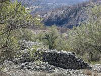 Village ruiné de Vière  Vue vers le Sud