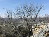 Village ruiné de Vière  Ruines. Tout n'est plus que pierrailles amoncelées