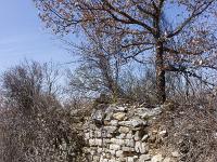 Village ruiné de Vière  Vestige d'un mur
