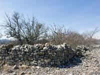 Village ruiné de Vière  Vestiges de murs au Nord/Est du village 1/4