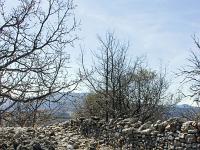 Village ruiné de Vière  Vestiges de murs au Nord/Est du village 2/4