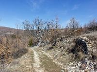 Village ruiné de Vière  Le chemin qui redescent sur Ongles au Nord du village