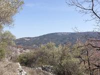 Village ruiné de Vière  Vue vers le Sud