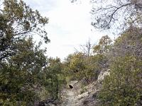 Châteauneuf-Val-St-Donat - Vieux village  Il s'agit du chemin qui menait au village et à l'église Saint Antoine