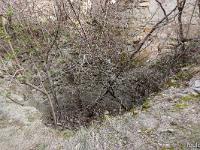 Le Château  La citerne (4m de diamètre - 6m de profondeur)