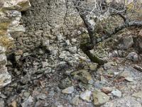 Le Château  Sous-sol  du logis seigneurial. Au dessus se trouvait le vestibule