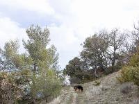 Châteauneuf-Val-St-Donat - Vieux village  Nous allons maintenant longer le village à l'Est