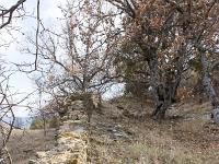 Châteauneuf-Val-St-Donat - Vieux village  Vestiges des jardins seigneuriaux en restanque à l'Est 1/2