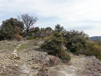 Châteauneuf-Val-St-Donat - Vieux village  A droite le sentier que nous avons empreinté à l'aller, Gecko et moi. A gauche le sentier pour se rendre à l'église St Antoine. Allons y ! ...