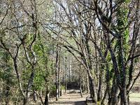 Le Vieil Eyguians  Rendons nous vers le cimetière qui se trouve au Nord du village ...