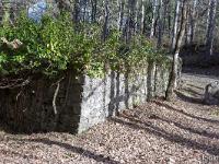 Le Vieil Eyguians  L'angle Sud/Ouest du mur du cimetière et le mur Sud ...