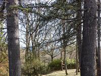 Le Vieil Eyguians  Retournons dans le village ...