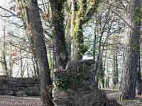 Le Vieil Eyguians  Autres ruines ...