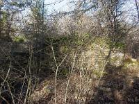 Le Vieil Eyguians  Autre ruine dans les brousailles ...